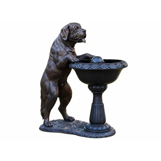 Chien Avec Fontaine — B1435
