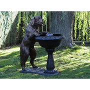Chien Avec Fontaine — B1435