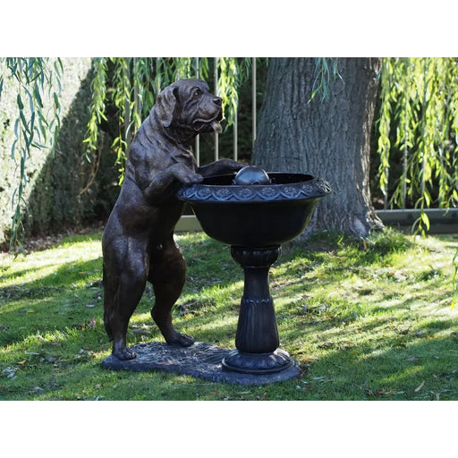 Chien Avec Fontaine — B1435