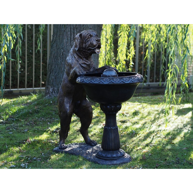Chien Avec Fontaine — B1435