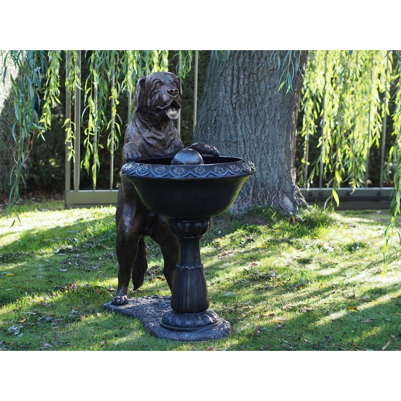 Chien Avec Fontaine — B1435