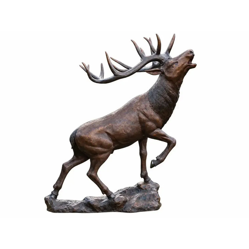 Cerf — B1469
