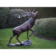 Cerf — B1469