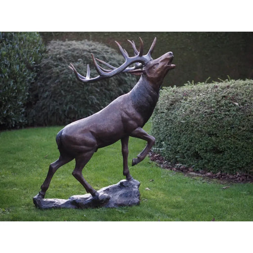 Cerf — B1469