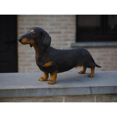 Teckel Peint — B1470-C