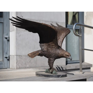 Aigle sur une souche d’arbre — B1476
