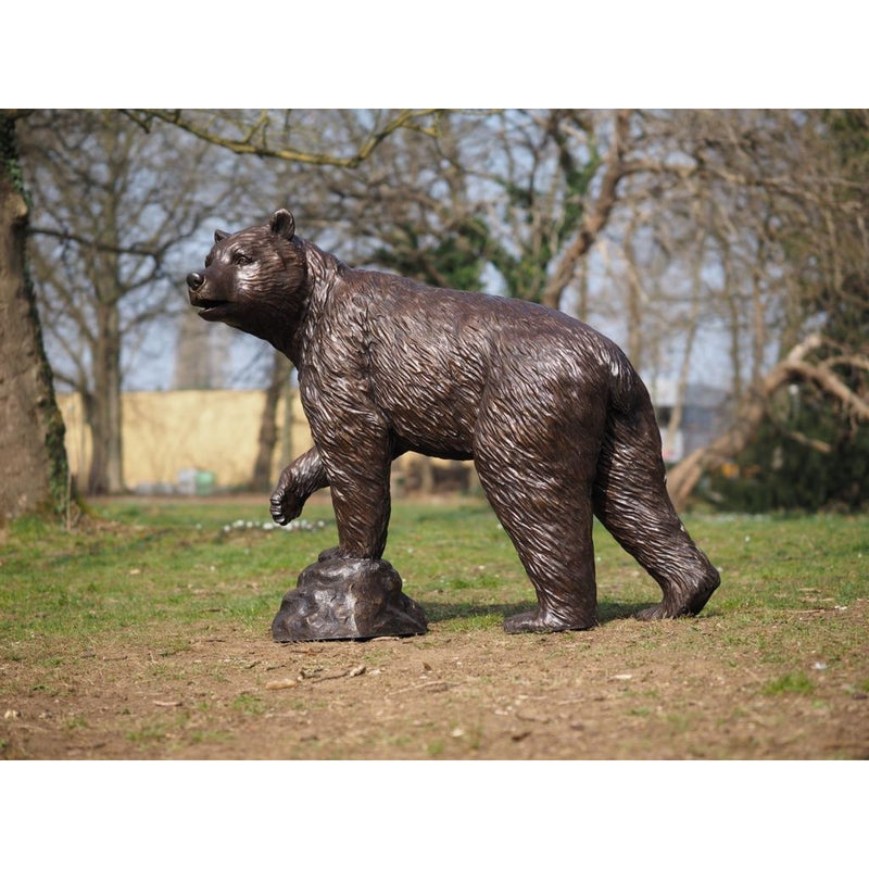 Maman ours — B1478-1