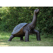 Tortue Géante — B1485