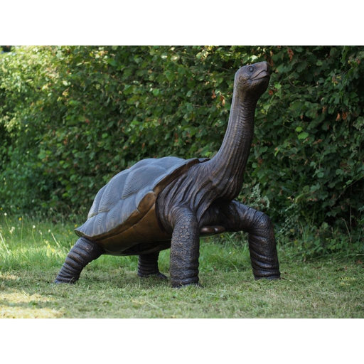 Tortue Géante — B1485