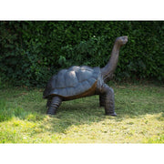 Tortue Géante — B1485