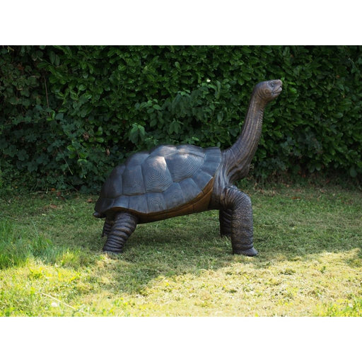 Tortue Géante — B1485