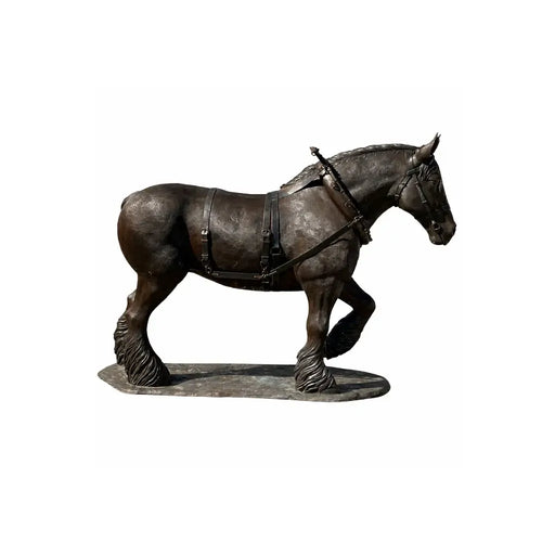 Cheval de trait belge — B1488