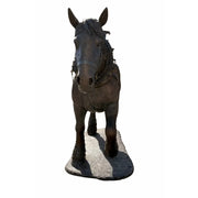 Cheval de trait belge — B1488