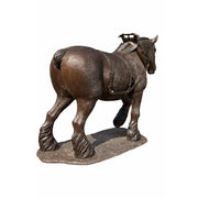 Cheval de trait belge — B1488