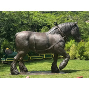 Cheval de trait belge — B1488