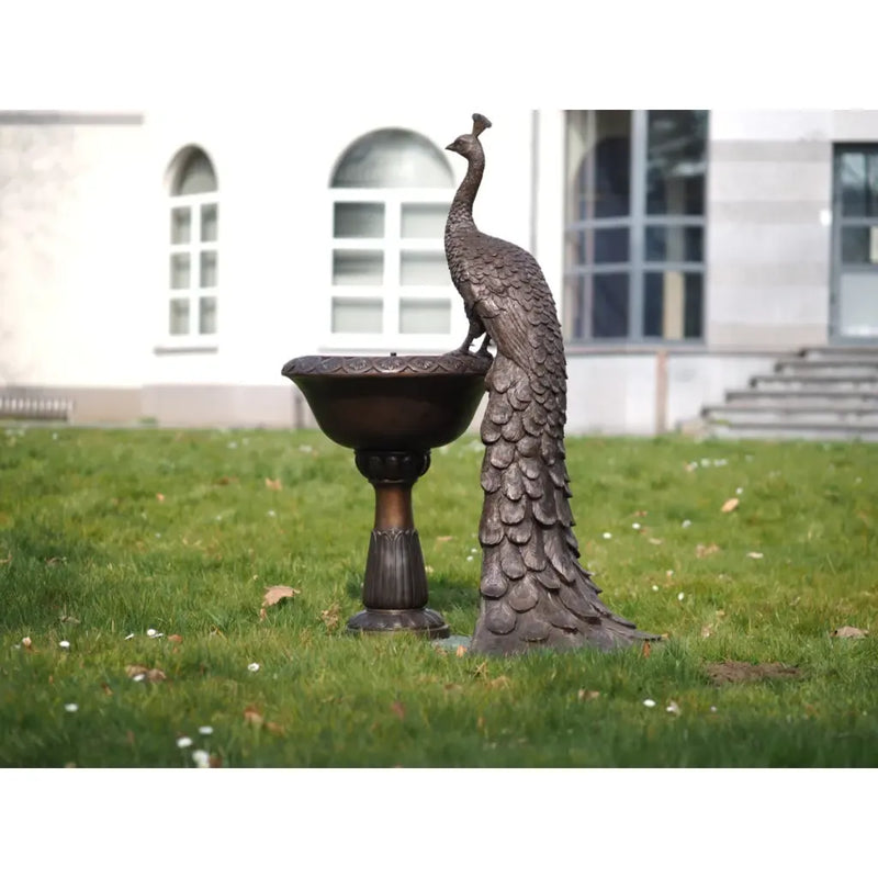 Paon sur un vase — B1501