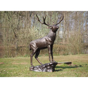 Cerf debout sur socle — B1504-1