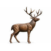 Cerf debout — B1504