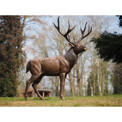Cerf debout — B1504