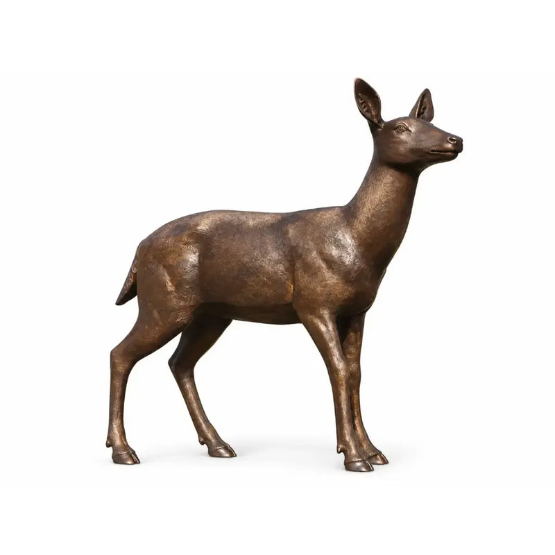 Cerf femelle — B1505