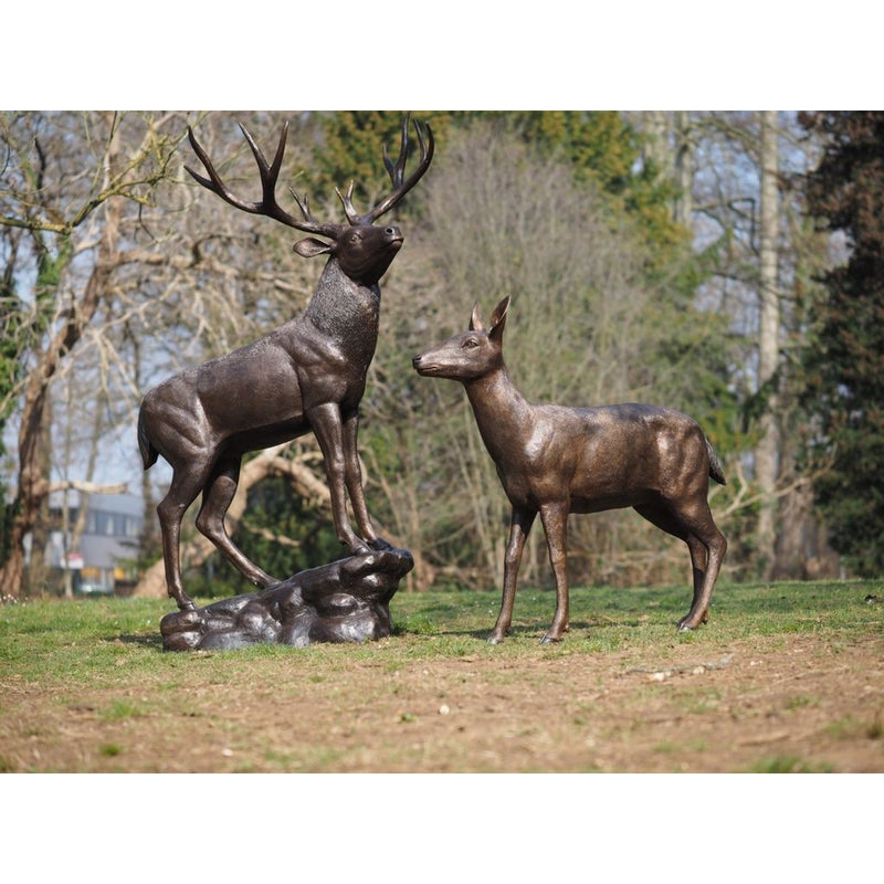 Cerf femelle — B1505
