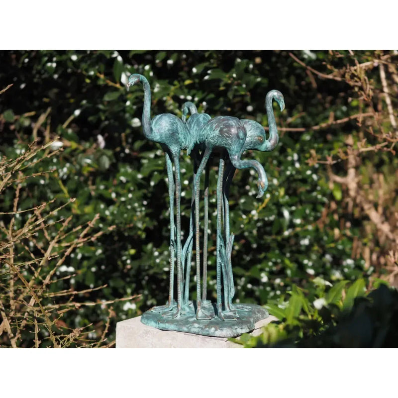 4 flamants roses — B1512
