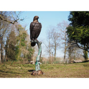 Aigle — B1520