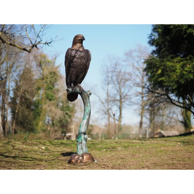 Aigle — B1520