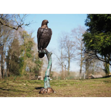 Aigle — B1520
