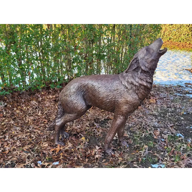 Loup à la gueule ouverte — B1551