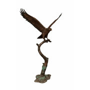 Aigle Sur Tronc D'Arbre — B1555