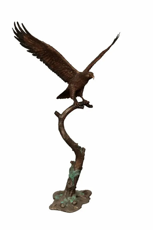 Aigle Sur Tronc D'Arbre — B1555