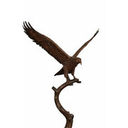 Aigle Sur Tronc D'Arbre — B1555