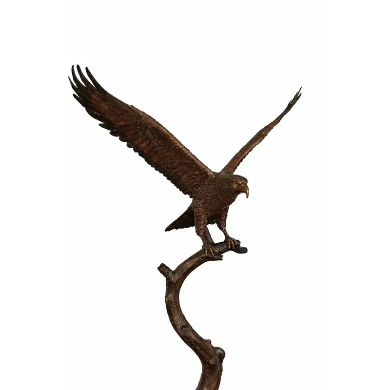 Aigle Sur Tronc D'Arbre — B1555