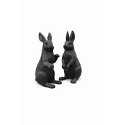 Couple de lapins — B1558