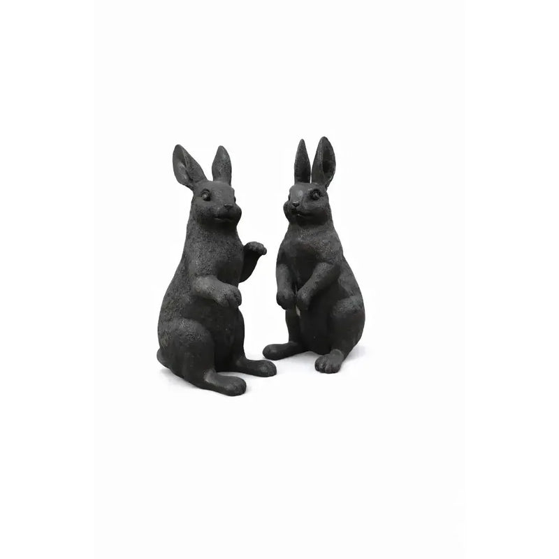 Couple de lapins — B1558