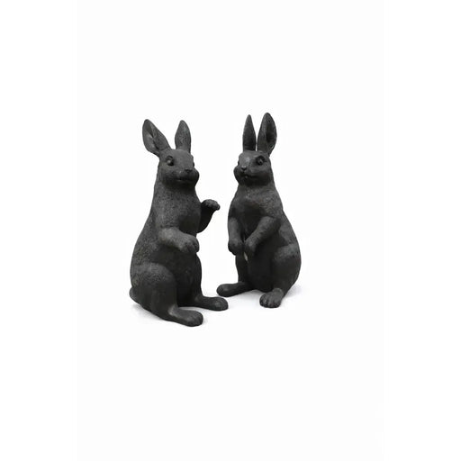 Couple de lapins — B1558