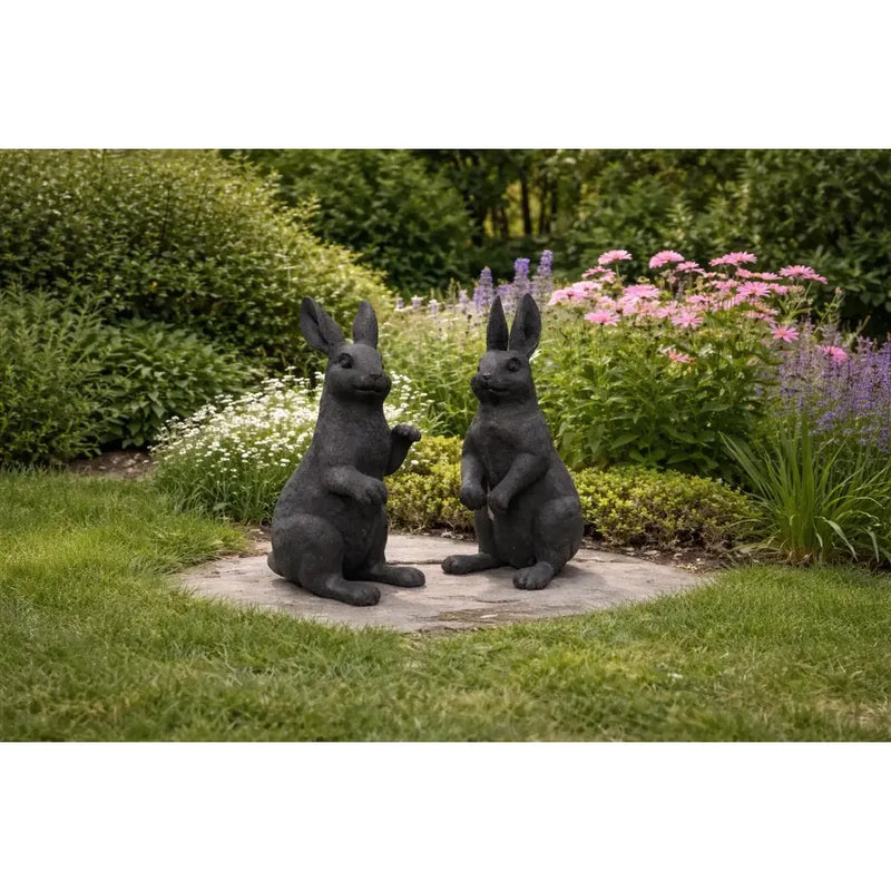 Couple de lapins — B1558