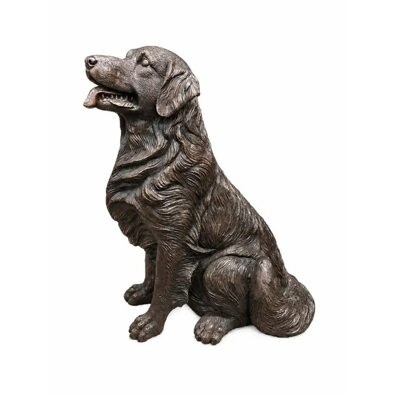 Golden Retriever — B1559