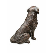 Golden Retriever — B1559