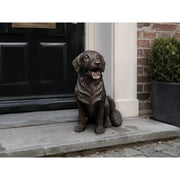 Golden Retriever — B1559