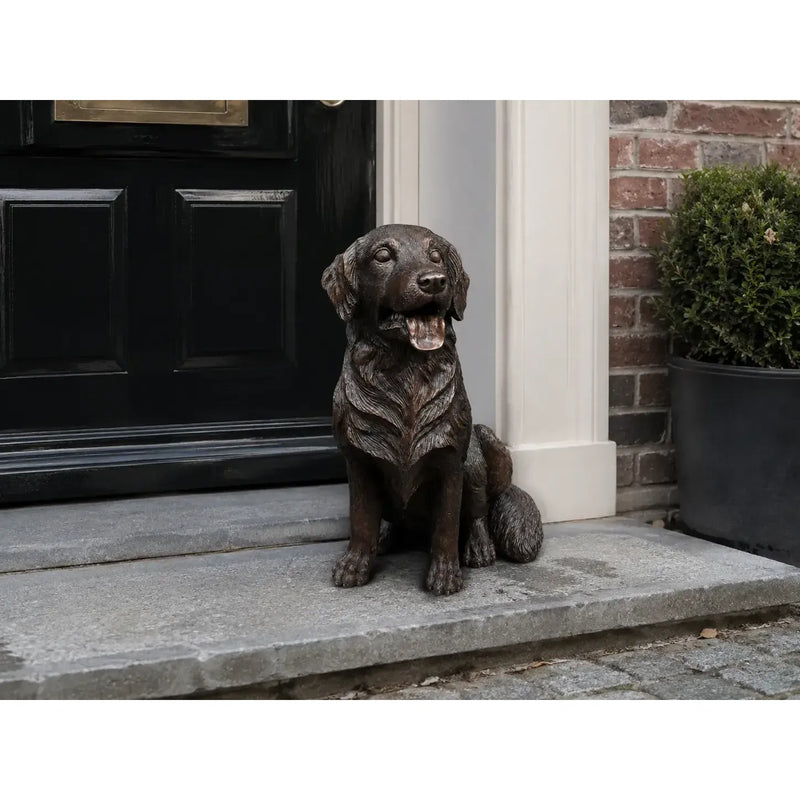 Golden Retriever — B1559