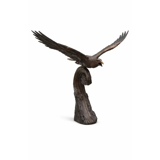 Aigle sur une vague — B1574