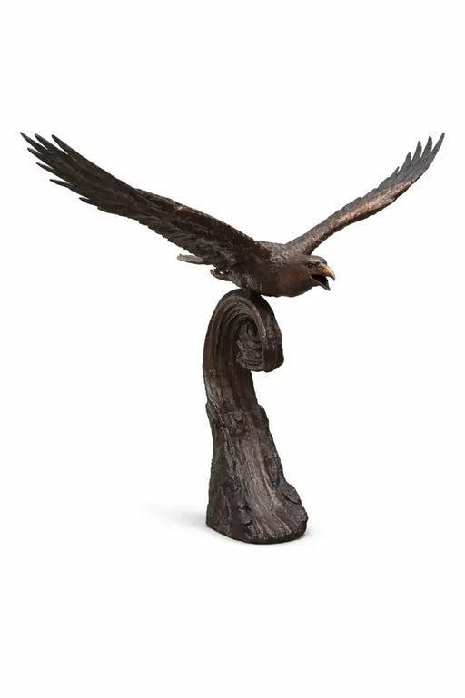Aigle sur une vague — B1574