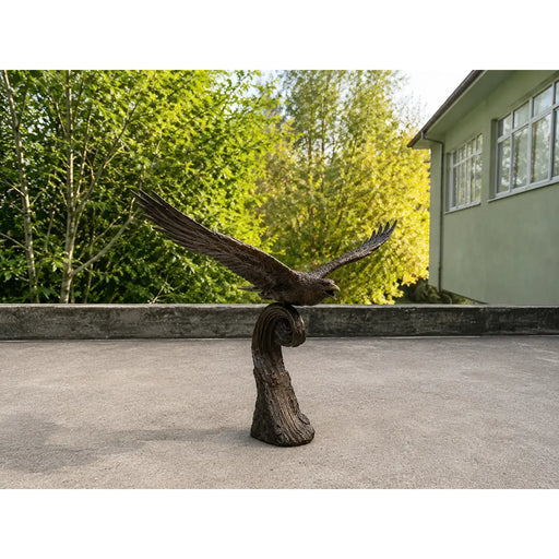 Aigle sur une vague — B1574