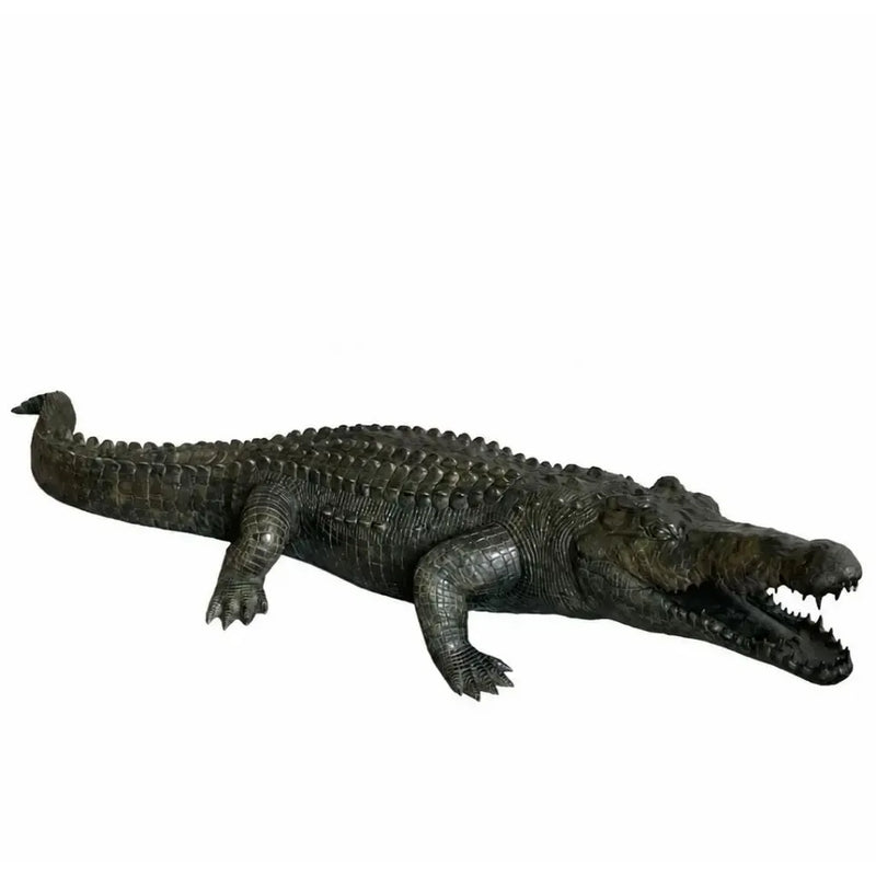 Alligator — B1581