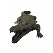 Alligator — B1581