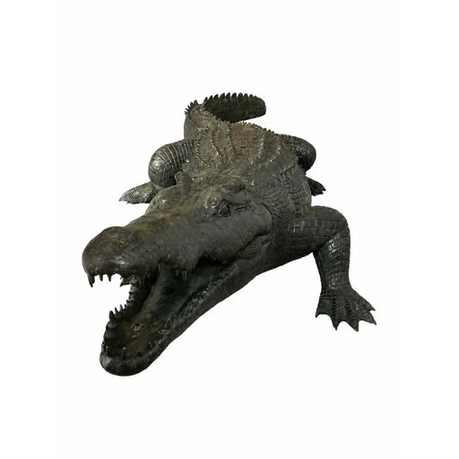 Alligator — B1581