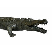 Alligator — B1581