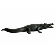 Alligator — B1581